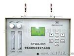 HJ09-STWA-300智能双路低流量空气采样器