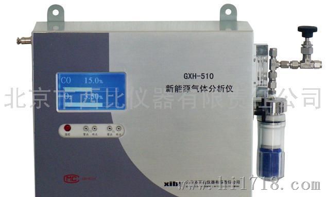 GXH-510新能源气体分析仪