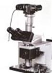透反射显微镜 XQT-2