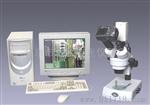 电光 XTL-IIA/SH/VTV 体视摄影摄像显微镜