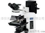 三目生物显微镜 BX51-32P01|奥林巴斯