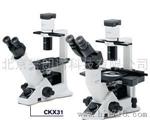 奥林巴斯OlympusCKX31/41教学级显微镜