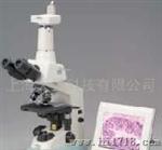 上海天呈成都办E100双目尼康临床生物显微镜