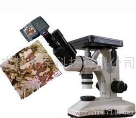 4XB系列双目倒置金相显微镜