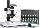 SHANHE三维数码视频显微镜
