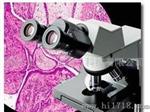 奥林巴斯生物显微镜CX31（代理商）