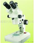 凤凰显微镜XTL-Ⅵ（体视显微镜）