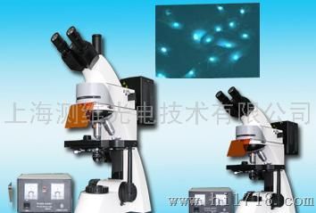 落射荧光显微镜(四色) LW300LFT