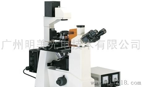 包头市荧光显微镜MF51