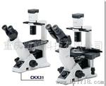 CKX31/CKX41 倒置生物显微镜