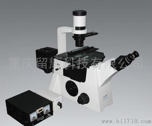DSZ5000X系列倒置荧光显微镜
