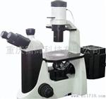 DSZ2000X系列倒置荧光显微镜