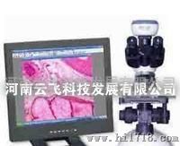 河南云飞TS2009光学显微镜及成像设备
