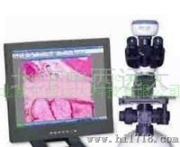 SH11/YF-9光学显微镜及成像设备