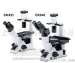 0CKX41-A32FL/PH荧光倒置显微镜