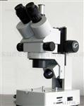 XTL-2100连续变倍体显微镜