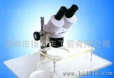 XT-III系列体视显微镜