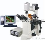 DM-15型研究型荧光显微镜