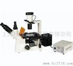 DM-10倒置荧光显微镜