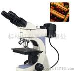 桂光G-120A正置式金相显微镜更新