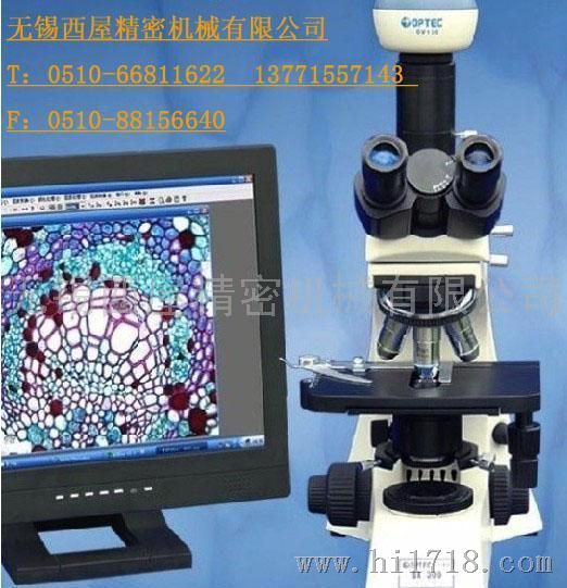 扬州三目生物显微镜厂家直销，价格