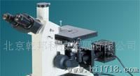 JPL1350系列简易偏光显微镜
