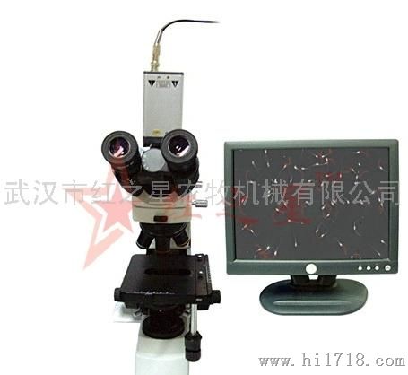 武汉红之星农牧显微镜成像设备，显微镜