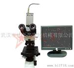 武汉红之星农牧显微镜成像设备，显微镜