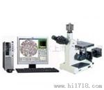 上海谦科GX40-D金相显微镜