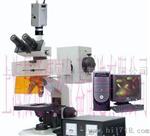 上海晨通CT-YGFM-7C研究型荧光显微镜