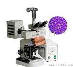 荧光显微镜 生物显微镜