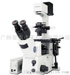 奥林巴斯IX81-F72FL/DIC电动显微镜