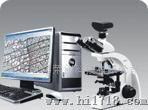 国内高水平的显微镜，具有出类拔萃的光学性能和多重的观察功能