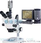 体视显微镜：XTL-3000C