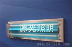 现货T8双管豪华吸顶不锈钢直边净化