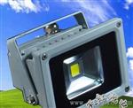 10WLED聚光灯 集成光源LED泛光灯 CE/ROHS