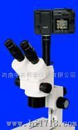 显微镜/XTS系列连续变倍体式显微镜（河南郑州）