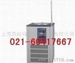 上海英峪科研仪器低温冷却液循环泵DLSB-10L