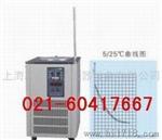 上海英峪科研仪器低温冷却液循环泵DLSB-5L