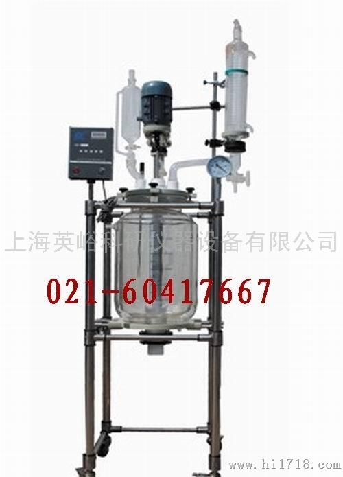 上海英峪科研仪器双层玻璃反应釜S212-80L