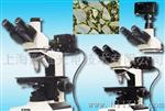 正置金相显微镜 LW200-3JT