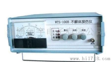 WTS-100型不解体探伤仪