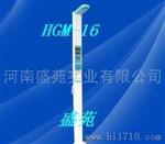 盛苑HGM-16电子人体秤