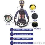 斯博瑞安（原巴固）SCBA205正压式空气呼吸器