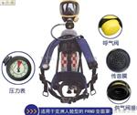 斯博瑞安（原巴固）SCBA205正压式空气呼吸器