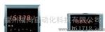 虹润NHR-2300A-1/X/2/X/X/X-A定时仪器