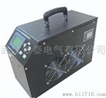 武汉多泰电气有限公司 DTBD-8002 蓄电池放电监测仪
