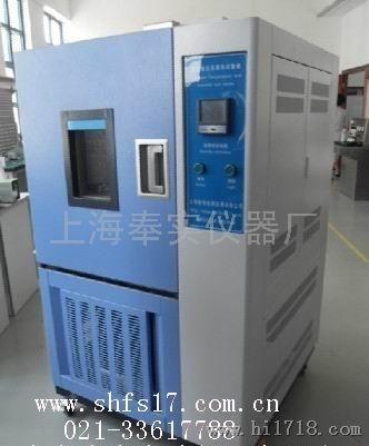上海奉实F/GDW-100高低温交变箱厂家直销