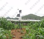 托普NL-GPRS型农业环境监测站/农业环境综合监测