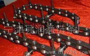 不锈钢悬挂式链条公司|不锈钢悬挂式链条厂家润通有信誉保障